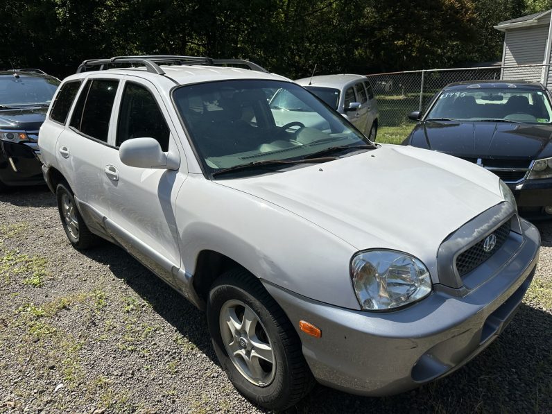 
								2004 Hyundai Santa Fe full									