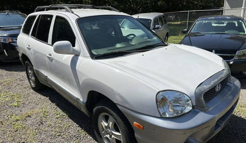 
								2004 Hyundai Santa Fe full									